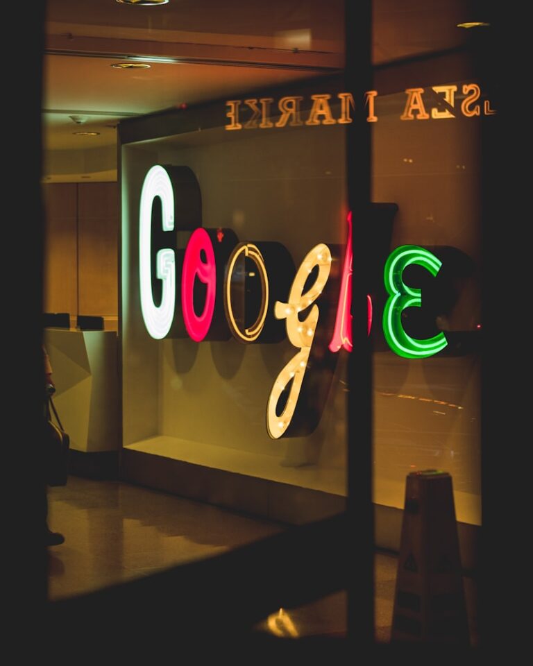 Google Bilgi